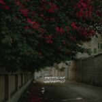 دانلود آهنگ ترکی نجه سن سیز یاتام من از شبنم تووزلو